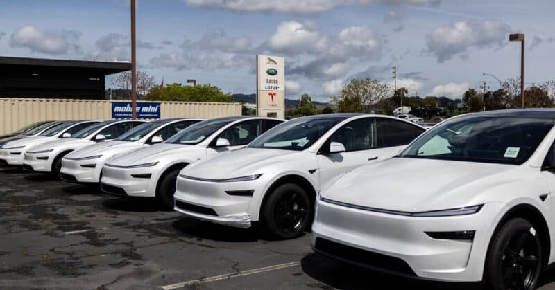 Cover Image for تزلج مبيعات Tesla US كمادة جنرال موتورز وآخرون يحققون مكاسب