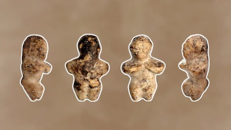 Cover Image for تم اكتشاف تمثال تم اكتشافه في بولندا أنه يبلغ من العمر 6000 عام