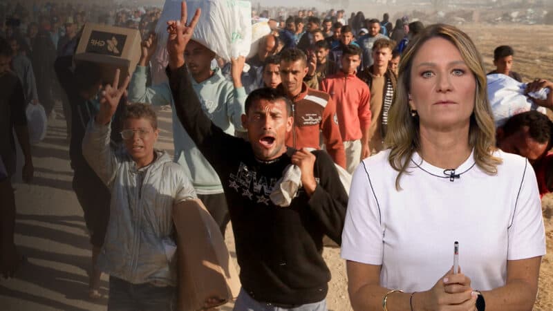 Cover Image for كيف هي الحياة بالنسبة إلى غزة تم إجلاؤها؟