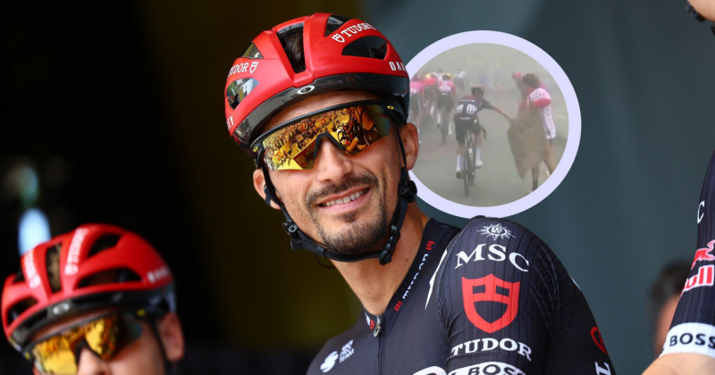 Cover Image for Alaphilippe ، L&#8217;Abasure de la pancarte est clos: