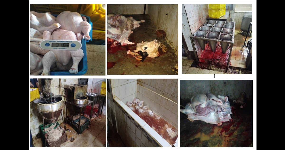 الهيئة الوطنية للسلامة الغذائية تحجز أكثر من 3 أطنان من اللحوم الفاسدة وتغلق مسالخ عشوائية