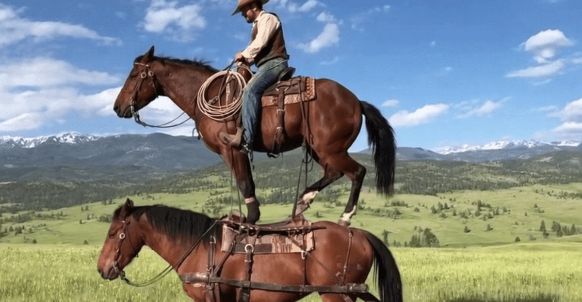 أوبن إيه آي تطلق تطبيق سورا للفيديوهات الاجتماعية ونسخة جديدة من مولد الفيديو بالذكاء الاصطناعي