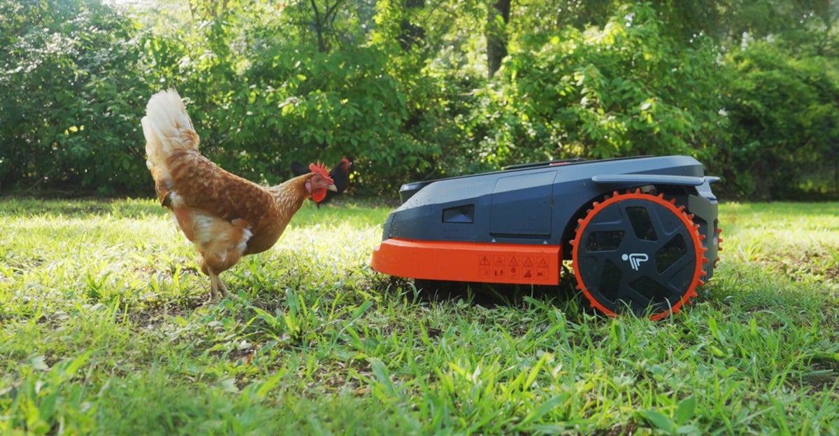 جولة في الفناء الخلفي الذكي: تقنيات مدهشة تجعل الحياة الخارجية مريحة ومستدامة