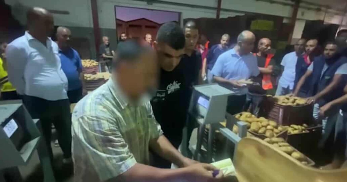 النيابة العمومية ببن عروس تصدر بطاقات إيداع ضد 11 من كبار المضاربين