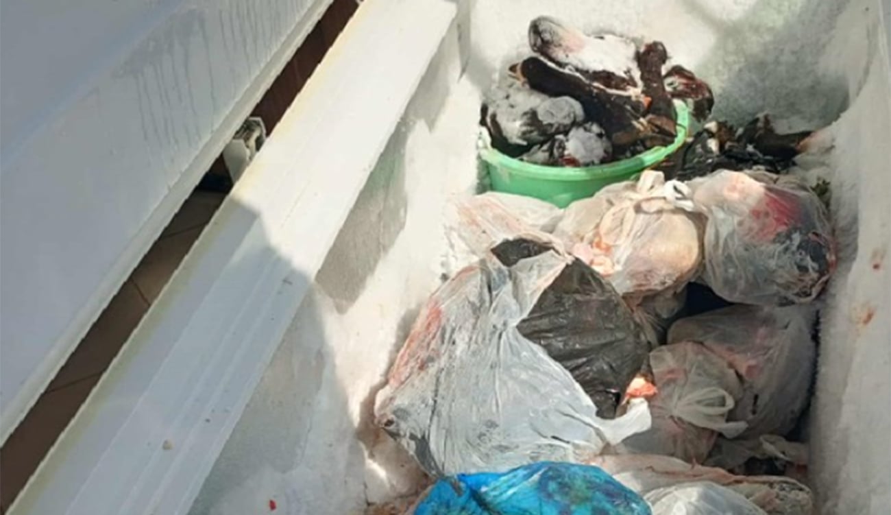 حجز 7.2 طن من المواد الغذائية غير الصالحة للاستهلاك في حملات رقابية بتونس