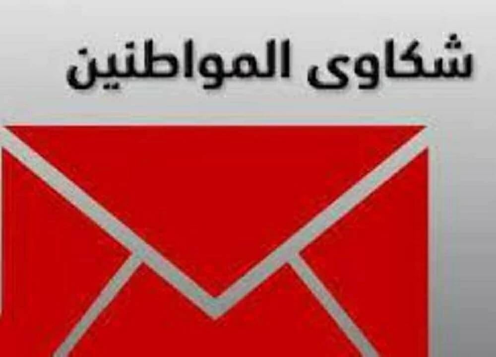 ذكريات شجرة التوت ووصايا الآباء: رحلة بين المغامرة وبر الوالدين