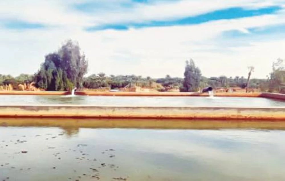 سيوة تنتعش: مشروعات الري ترسم ملامح الواحة الأجمل وتحافظ على توازنها البيئي