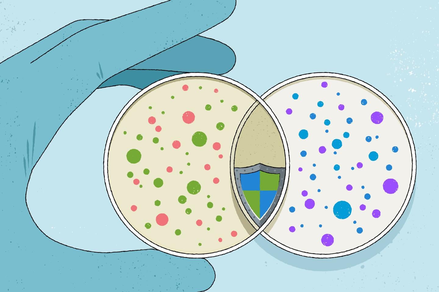 نظرية الملكة الحمراء: سباق التسلح التطوري بين المضيف والممرض ومواجهة الفيروسات
