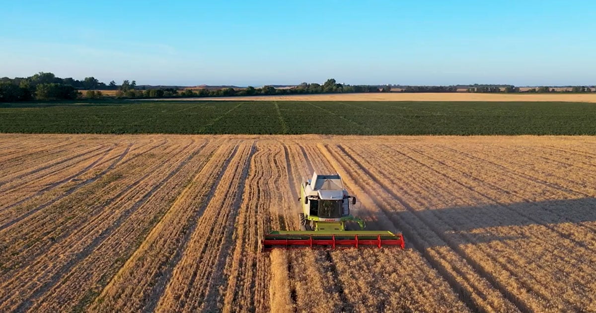 دروس مستفادة من أفلام رديئة: إصلاحات اقتصادية ضرورية لتحرير المبادرة وتكريم قيمة العمل