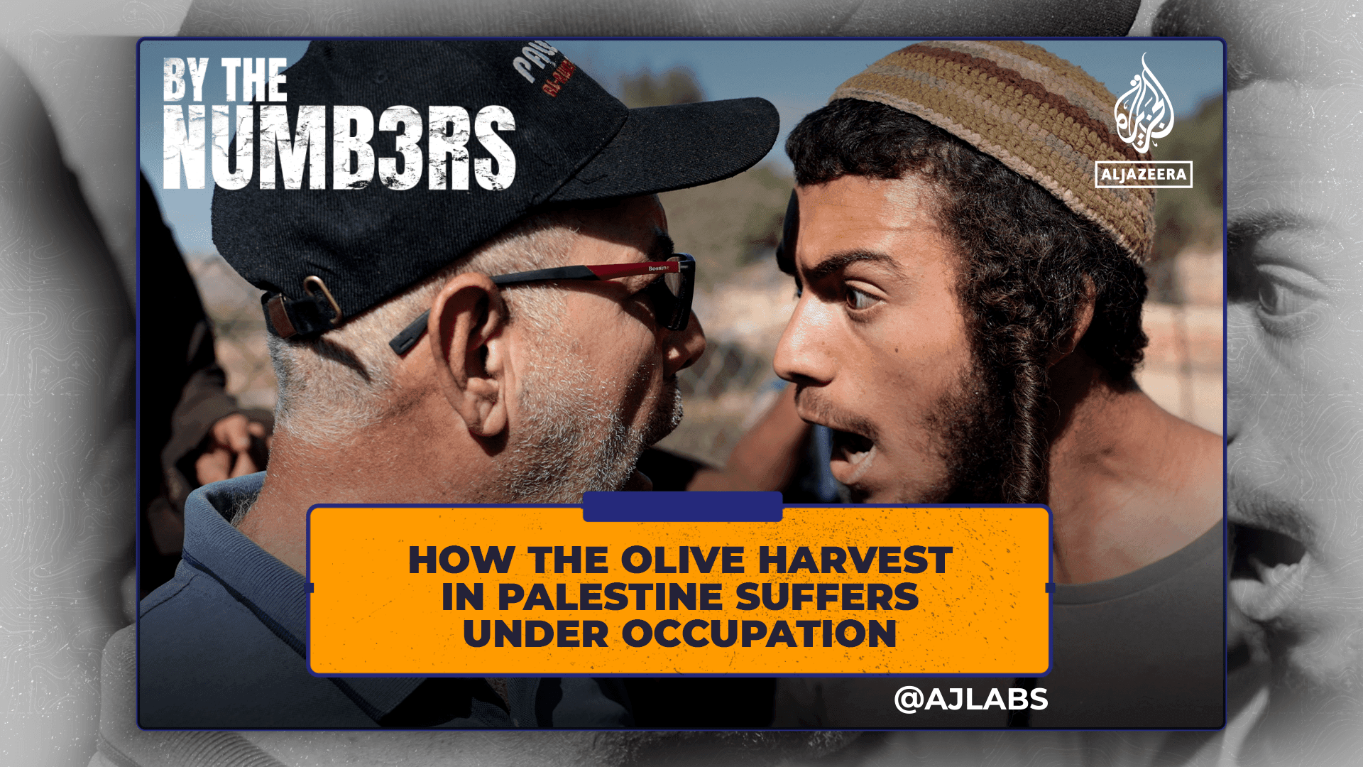 معاناة قطف الزيتون في فلسطين تحت الاحتلال الإسرائيلي: تحديات تاريخية واقتصادية