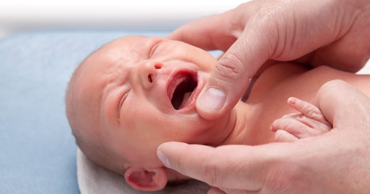 تراجع معدلات المواليد: الفيلسوف أوليفييه ري يتأمل في أزمة الإنجاب الحديثة