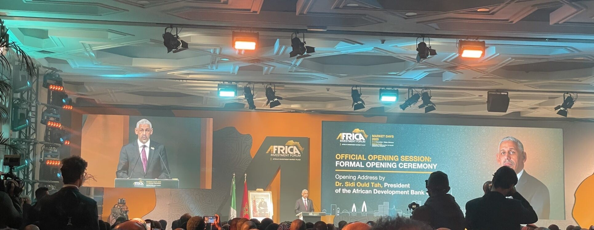 بنك التنمية الأفريقي يحث على حشد رأس المال الخاص لسد فجوة التمويل في القارة