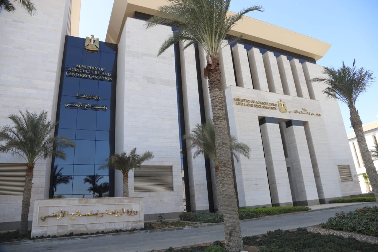 مشروع البتلو الوطني في مصر: تمويل يتجاوز 10 مليارات جنيه لدعم صغار المزارعين وزيادة الإنتاج