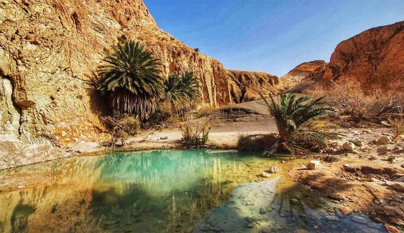 إعادة فتح فنادق سياحية بتوزر ونفطة وتمغزة وتنشيط السياحة الواحية والصحراوية