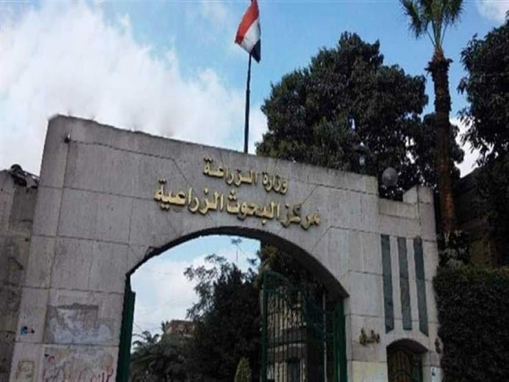 مركز البحوث الزراعية المصري يحصد المركز الثاني إقليمياً في تصنيفات سيماجو لعام 2025