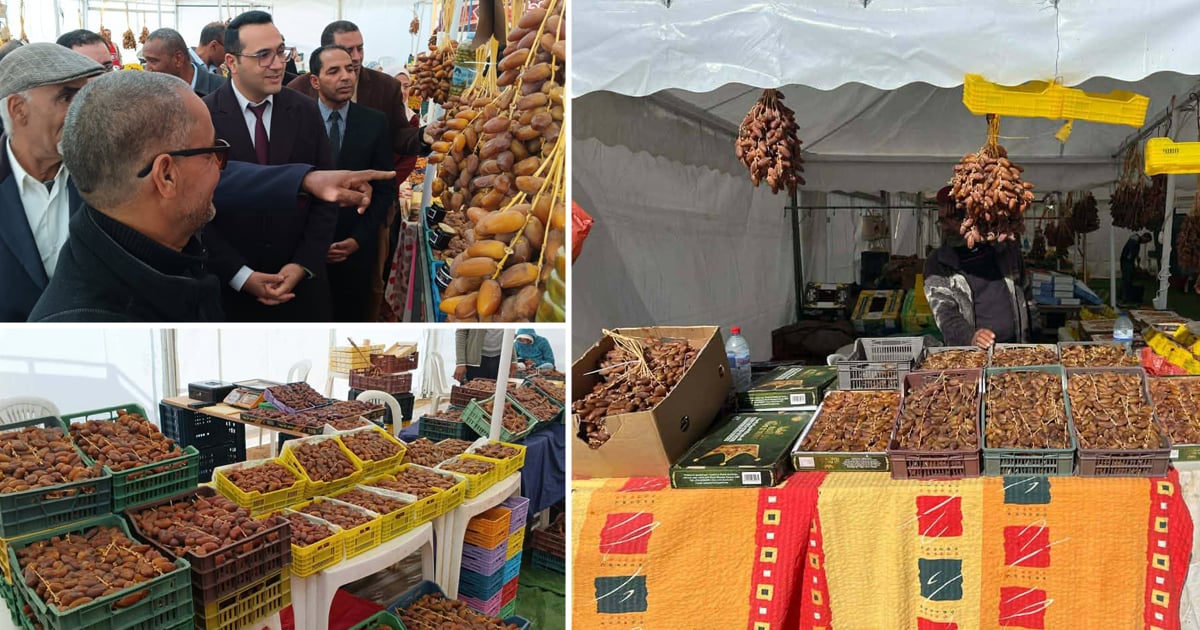 أسبوع التمور في توزر: مبادرة لتعزيز التسويق المباشر ودعم المنتجين