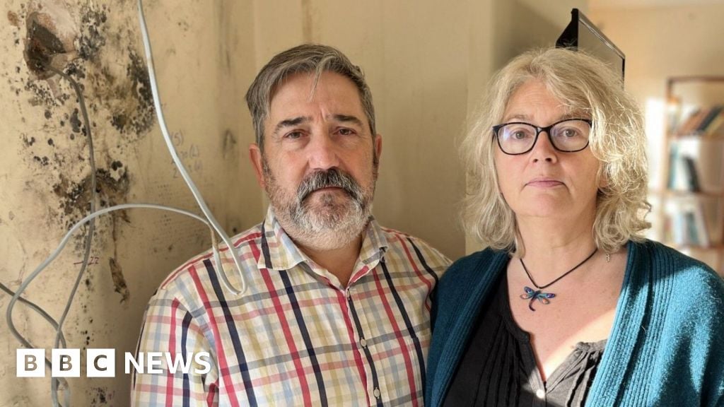 مشاكل العزل الحكومي تتسبب في انتشار العفن الأسود وتشريد عائلة من منزلها