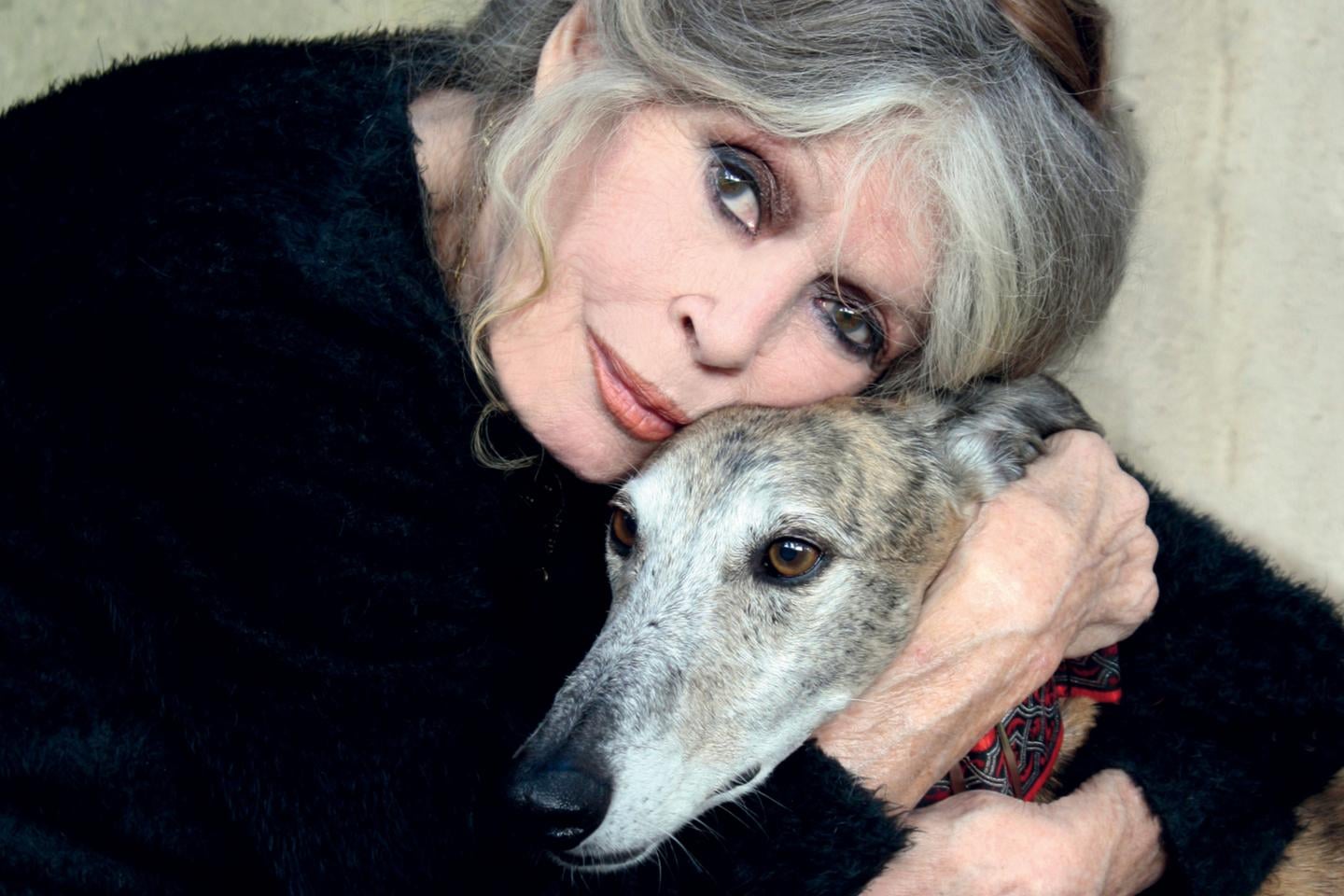 بريجيت باردو: من أيقونة سينمائية إلى مدافعة شرسة عن حقوق الحيوان