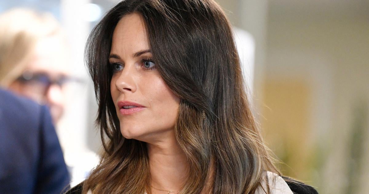 الكشف عن لقاءات أميرة السويد صوفيا بجيفري إبستين يثير الجدل