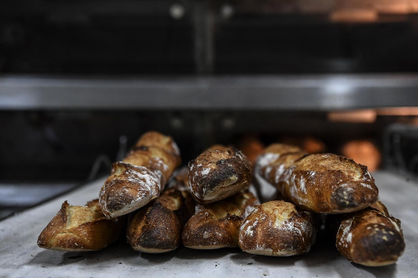 دراسة تكشف تلوث الحبوب بـ PFAS: مصدر رئيسي للتعرض للملوثات الأبدية