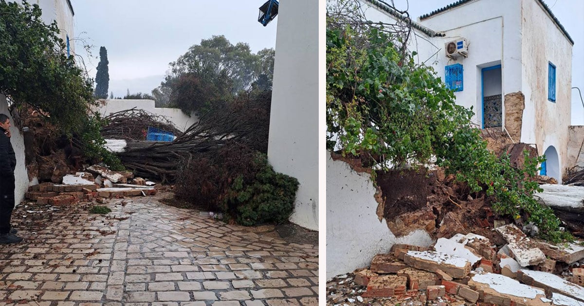 إنقاذ سيدي بوسعيد من التآكل البحري والضغط البشري: مقترحات عملية للحفاظ على الموقع