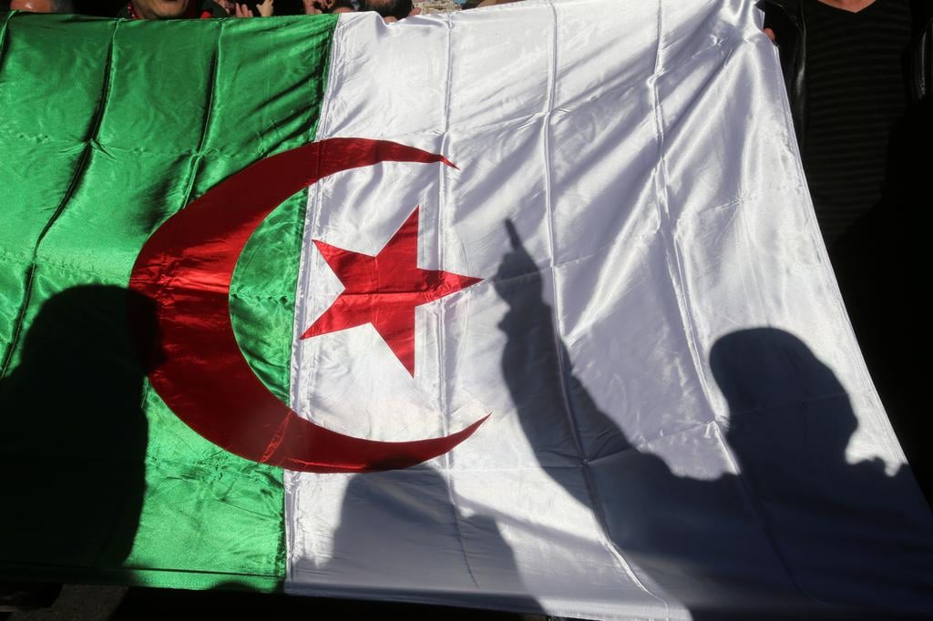 مصر والجزائر تؤكدان عمق العلاقات الثنائية وتنسيق المواقف حول قضايا المنطقة
