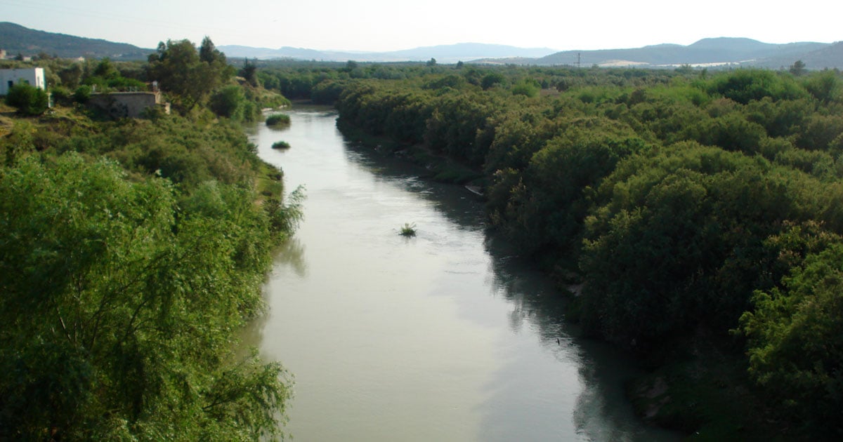 باجة | تحذير من ارتفاع منسوب مياه وادي مجردة ودعوات للحذر