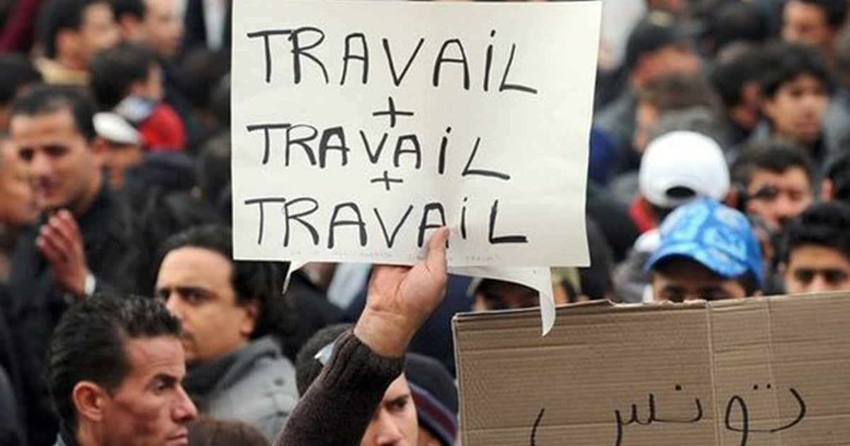 تونس: ارتفاع معدل البطالة إلى 15.2% في الربع الرابع من 2025 وفقًا لمعهد الإحصاء