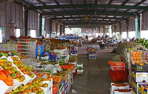 مدبولي في سوق العبور: تطوير الأسواق الجملة ركيزة لاستقرار الأسعار وتوافر السلع