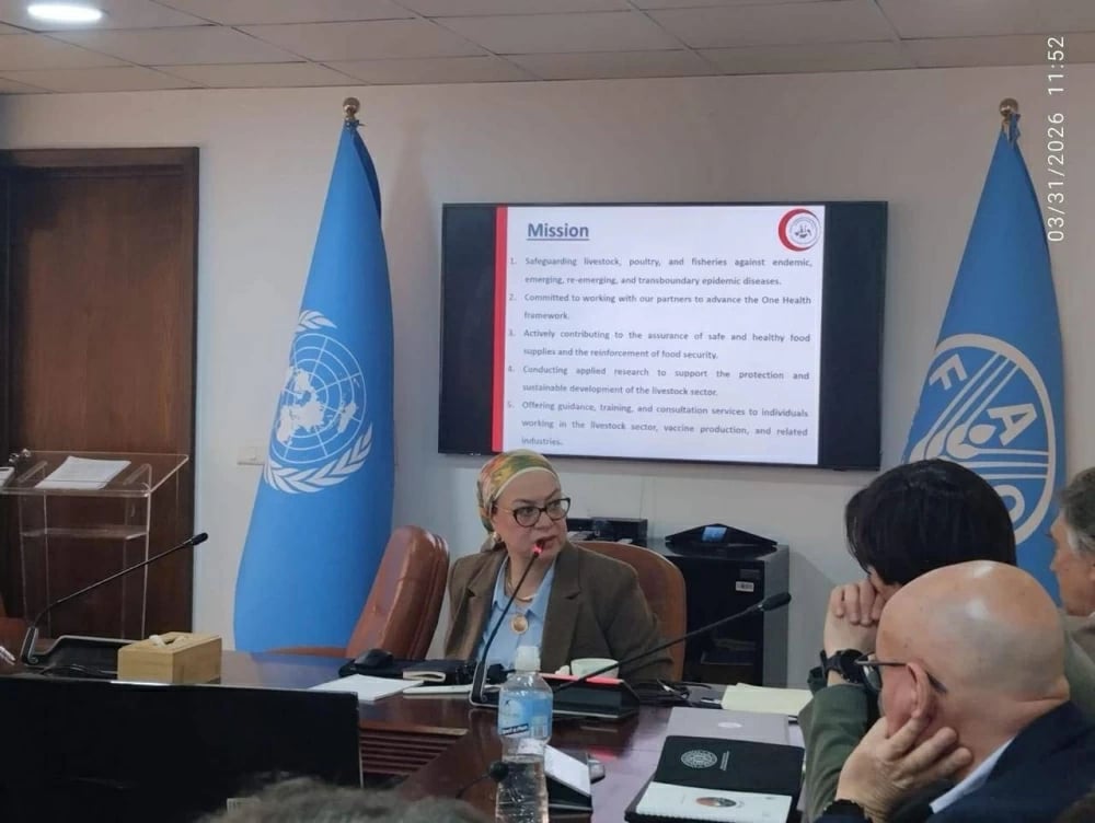 وزارة الزراعة تبحث مع الفاو تعزيز الرقابة على مقاومة المضادات الحيوية البيطرية
