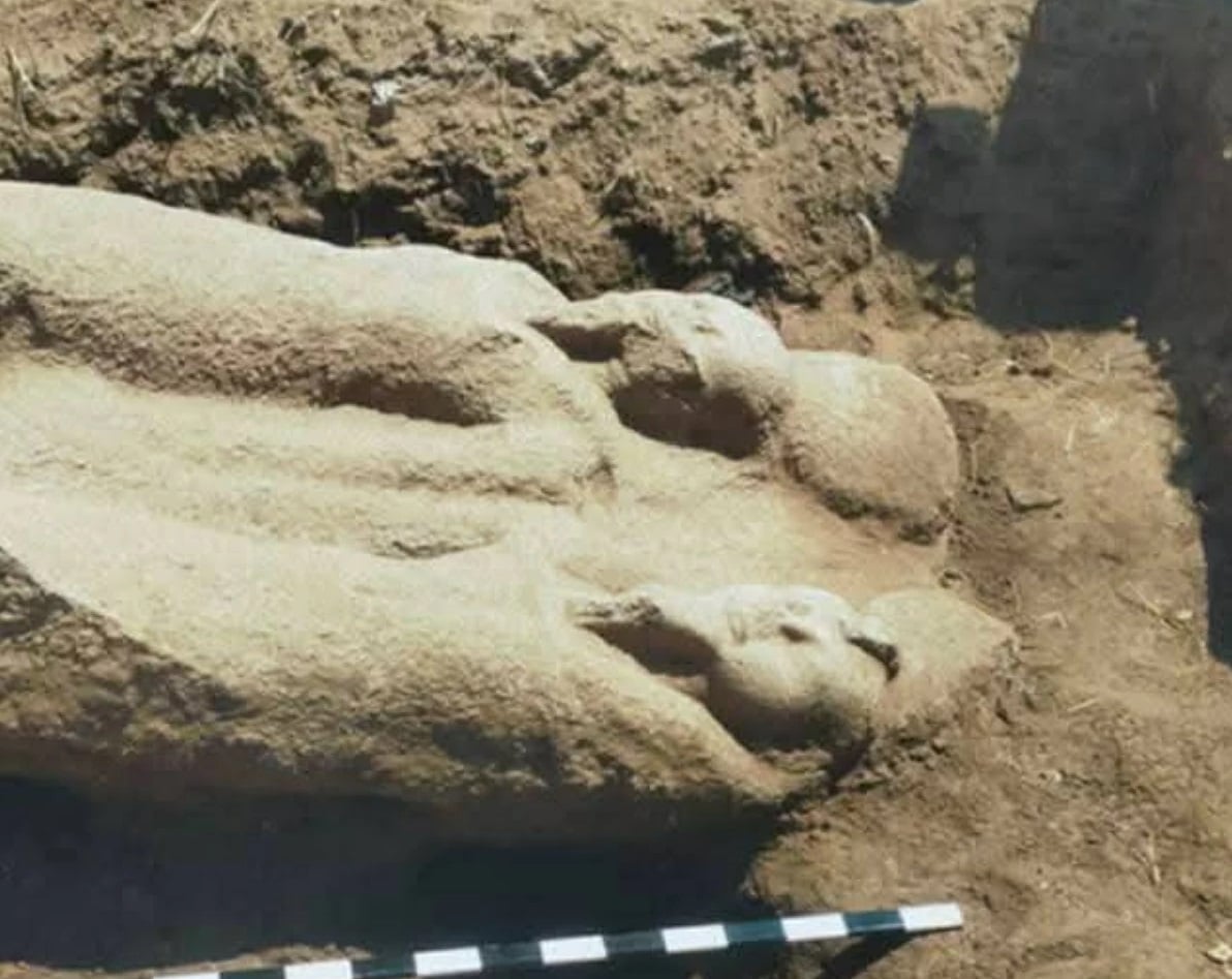 اكتشاف تمثال ضخم للملك رمسيس الثاني في الشرقية يكشف أهمية الموقع الأثرية