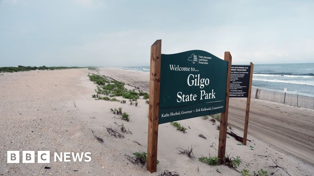 اعتقال ريكس هيورمان يجلب