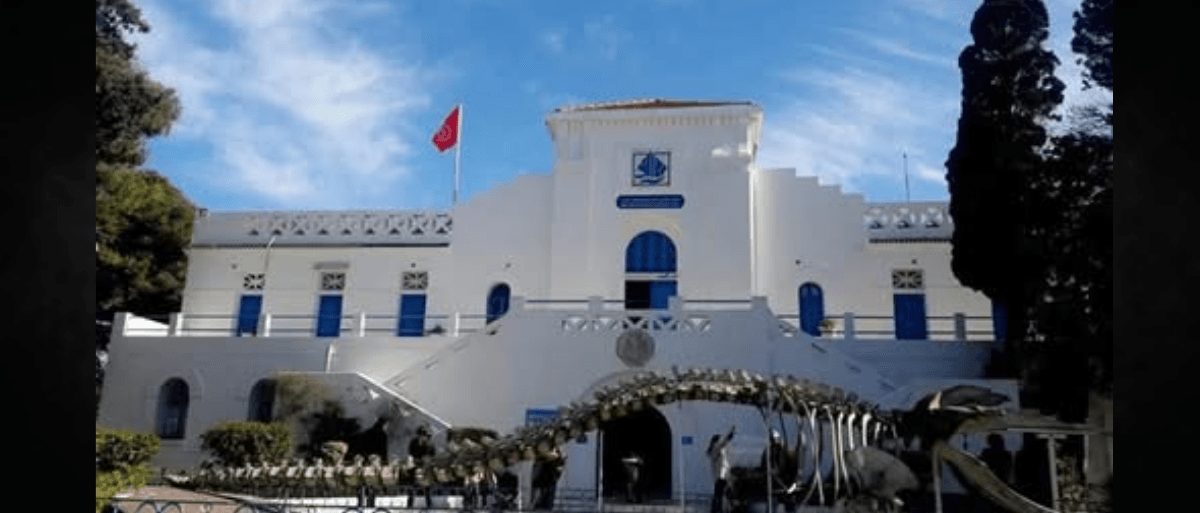 تونس: أسبوع مجاني لزيارة دار الحوت والمحميات الطبيعية احتفالاً بعيد الفلاحة الوطني
