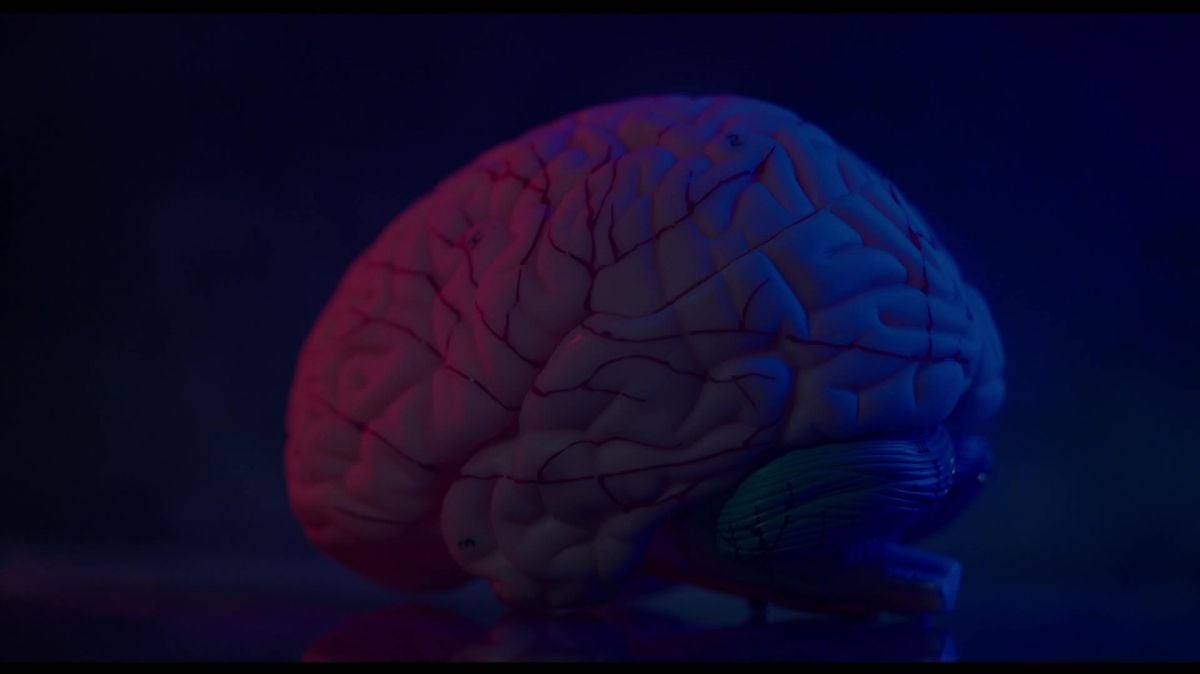 إشعار ملفات تعريف الارتباط والاشتراك في ليكيب: الوصول إلى الأخبار الرياضية الموثوقة