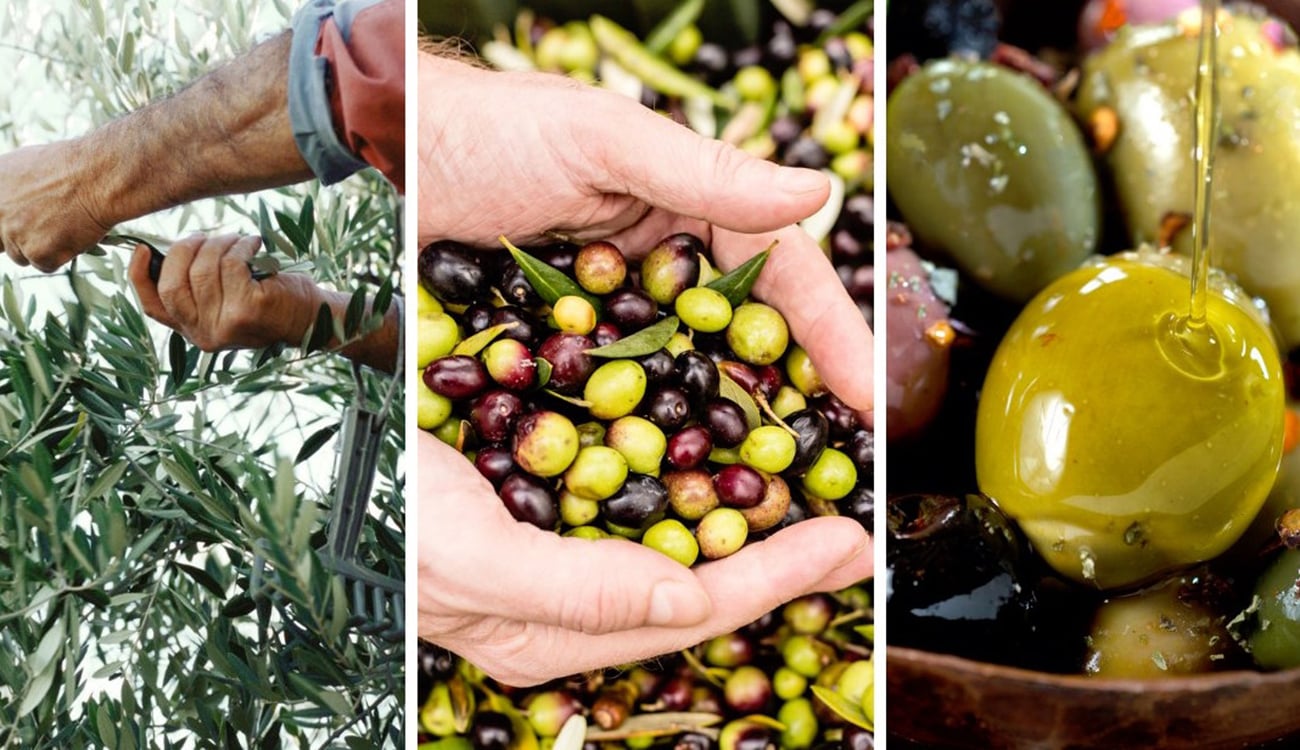 الابتكار في المنتجات المحلية: من التمور وزيت الزيتون إلى المشروبات الجديدة