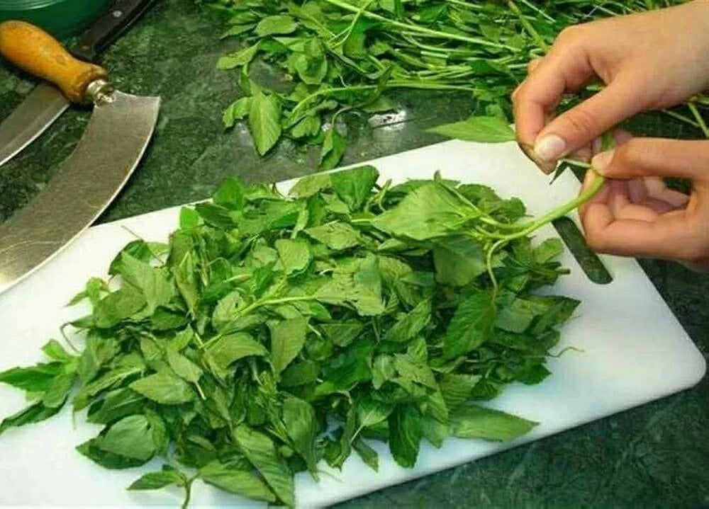 طرق فعالة لتخزين الملوخية: الحفاظ على نكهتها الطازجة وقوامها لأشهر طويلة