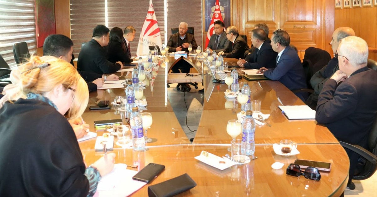 شركة ووهان يانغلو الصينية تعزز استثماراتها في تونس وتستهدف الشركات الحكومية