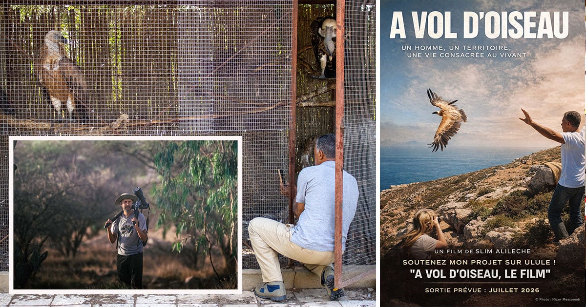 المخرج التونسي الشاب سليم عليلاش يوثق جهود حماية الحياة البرية في فيلمه الوثائقي