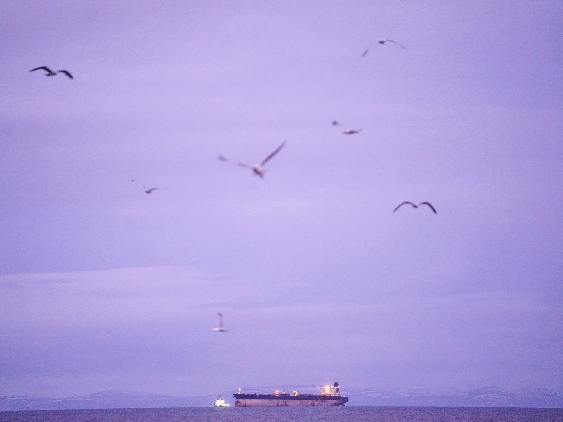 قنوات إيران النفطية غير الرسمية: مخاطر الفساد ومليارات الدولارات المفقودة تحت وطأة العقوبات الأمريكية