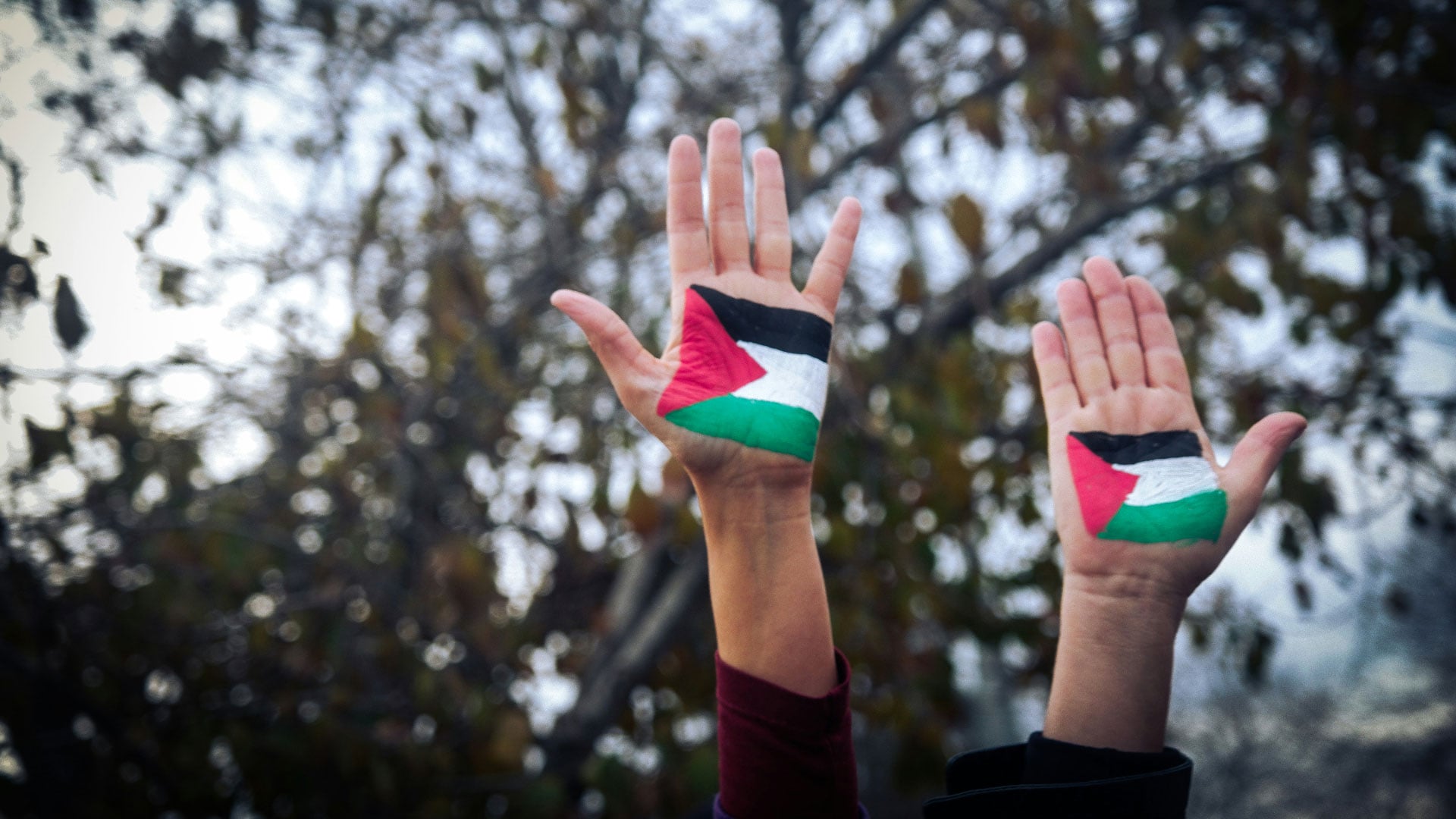 الرئاسة الفلسطينية تدين تصويت الكنيست على قانون الإعدام وتعتبره تشريعاً للإعدامات الميدانية