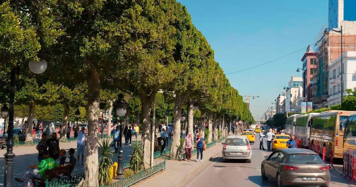 غياب الإصلاحات الهيكلية يهدد الاقتصاد التونسي وتراجع تاريخي في مؤشر الحرية الاقتصادية