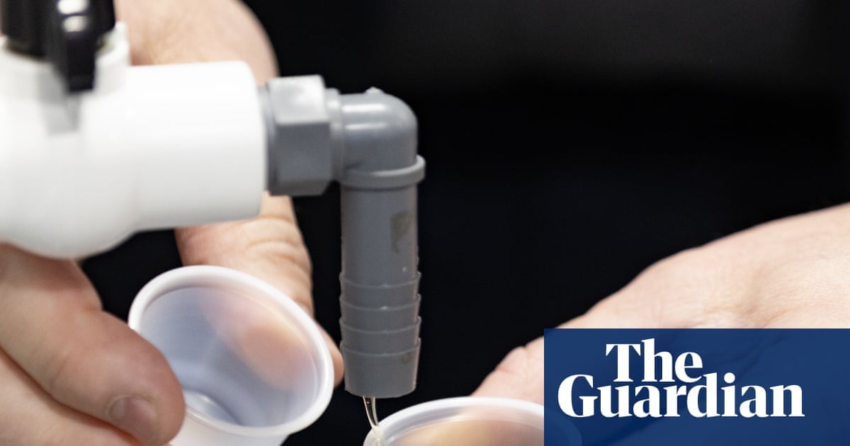 تحقيق كندي يكشف عن غش في شراب القيقب بكيبيك وبيعه للمتاجر الكبرى